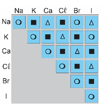 05 b).png